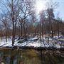 Cherokee Nation Scout Ranch