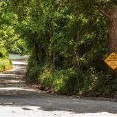 Carnes Ford Public Access