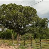 E 888 Rd Field