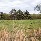 N 445 Rd W 678 Rd