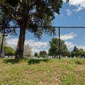 RoseHill Cemetery