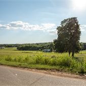 Field View in Claremore