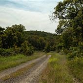 Cookson Wildlife Refuge Road