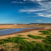 Field of Three Forks Rd/N4350 E
