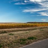 Field View N4350/Georgetown Rd East