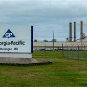 Georgia Pacific Plant