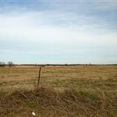 Field E 1058