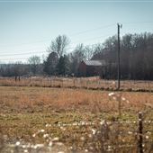 North View Barn on E 1090 Rd