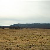 Open Field E 1020 Rd