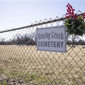 Bushy Creek Cemetery