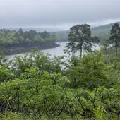 Cherokee Wildlife Refuge - River View