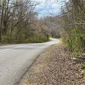 Rural Road by the River