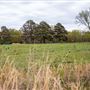 N 445 Rd W 678 Rd