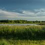 E 310 Rd/S4510 Rd (North view)