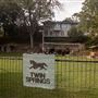 Twin Springs