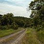 Cookson Wildlife Refuge Road