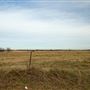 Field E 1058
