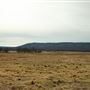 Open Field E 1020 Rd