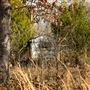 Small Shed