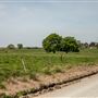 E 140 Rd Field
