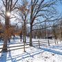 Cherokee Nation Scout Ranch