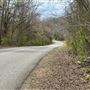 Rural Road by the River