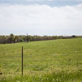 E 770 Rd Landscape 2