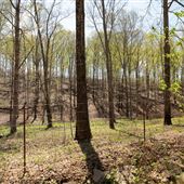 N Pumpkin Hollow Field