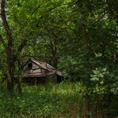 Abandoned Cabin