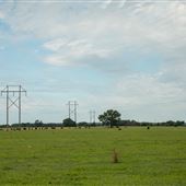 Field E 280 Rd