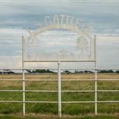 LS Cattle Co E 290 Rd