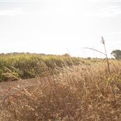S 4520 Rd/E0290 Rd