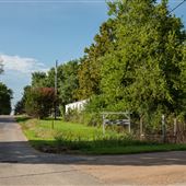 Road Intersection View