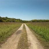 Cookson Wildlife Refuge Dirt Road