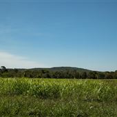 Cookson Wildlife Refuge Landscape