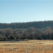 Field on New Texanna Rd