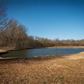 Field/Pond in Mohawk Park