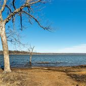 Open Area with Lake Access