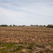 E 140 Rd/510 Rd Field and Road Views