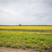 Field S 500 Rd