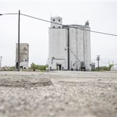 Beachner Grain