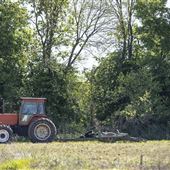 Tractor in Field