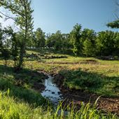 E 270 Rd Creek