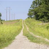Farm Road