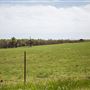 E 770 Rd Landscape 2