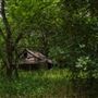 Abandoned Cabin