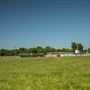 Collinsville Round Up Club Rodeo