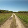 Cookson Wildlife Refuge Dirt Road
