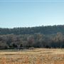 Field on New Texanna Rd