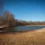 Field/Pond in Mohawk Park